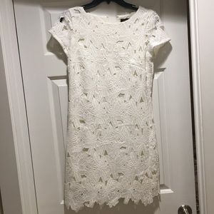 White Lace Ellen Tracy Dress